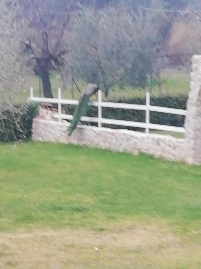 Residenza Nosy Be Villa Palombara Sabina Eksteriør billede