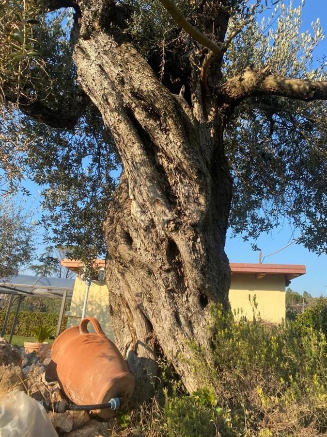 Residenza Nosy Be Villa Palombara Sabina Eksteriør billede
